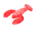 Fluff & Tuff Manny Lobster Dog Toy