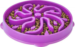 Outward Hound Dog Games Slo Bowl Slow Feeders Flower Design Dog Bowl image