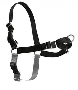 PetSafe Easy Walk Black & Silver Dog Harness image