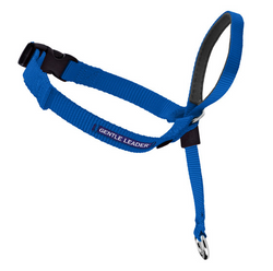 Petsafe Gentle Leader Quick Release Royal Blue Headcollar for Dogs image