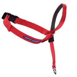 Petsafe Gentle Leader Quick Release Red Headcollar for Dogs image