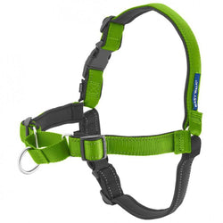 PetSafe Deluxe Easy Walk Green Apple & Black Dog Harness image