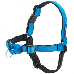 PetSafe Deluxe Easy Walk Ocean Blue & Black Dog Harness image