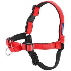 PetSafe Deluxe Easy Walk Rose Red & Black Dog Harness image