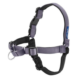 PetSafe Deluxe Easy Walk Steel Gray & Black Dog Harness image