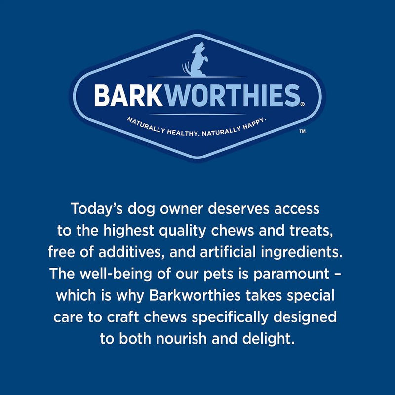 Barkworthies Knuckle Bone Beef Fillet Dog Chew for Medium & Large Breed Dogs