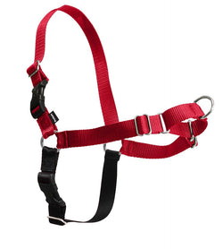 PetSafe Easy Walk® Harness, No Pull Dog Harness image