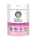 Under The Weather Hairball Support For Cats