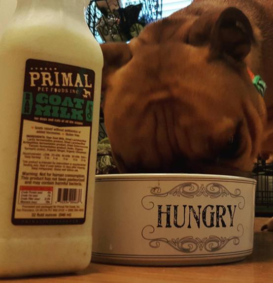 Primal Pet Foods Goat Milk Original