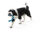 West Paw Snorkl Dog Toy