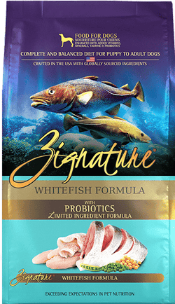 Zignature Limited Ingredient Whitefish Formula Dry Dog Food image