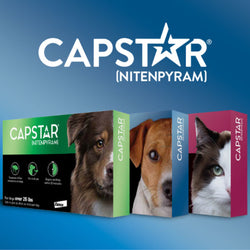 Capstar for Dogs & Cats image