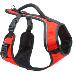 Petsafe EasySport Harness image
