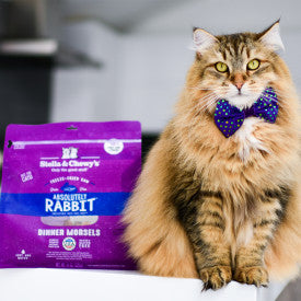 Stella & Chewy's Absolutely Rabbit Freeze-Dried Morsels Cat Food
